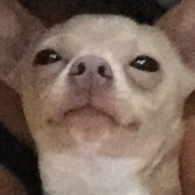 vee